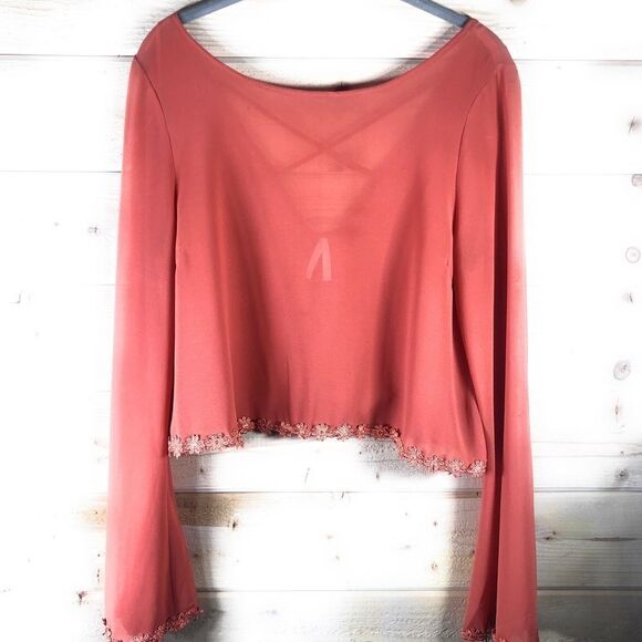 Kaitlyn Sheer Terra Cotta Blouse - Picture 6 of 9